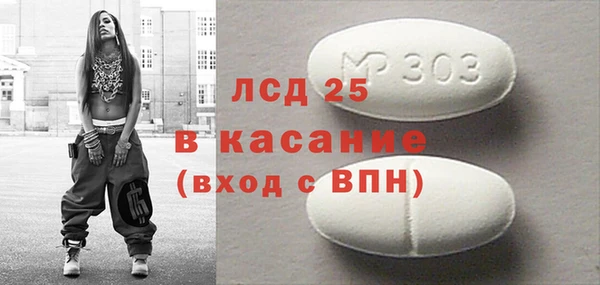 индика Алексин