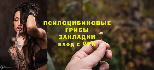 индика Алексин