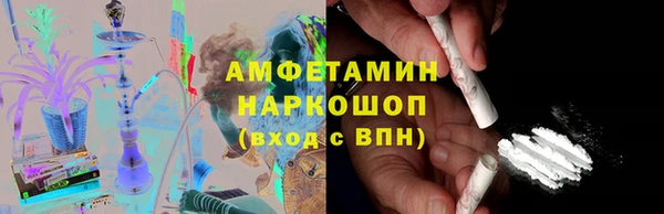 индика Алексин
