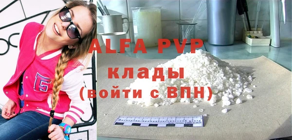 индика Алексин