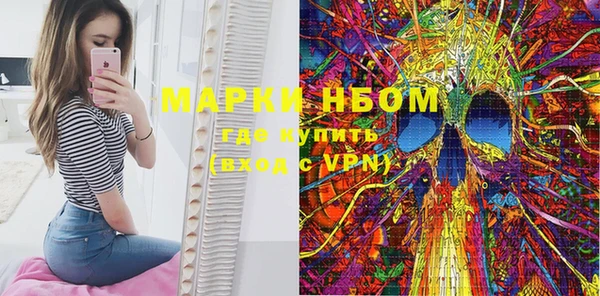 индика Алексин