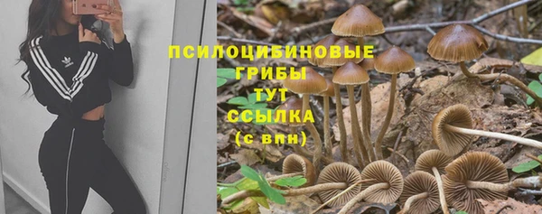 тгк Алзамай
