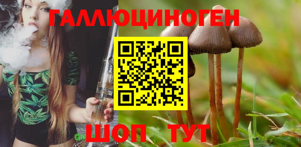 Галлюциногенные грибы Psilocybine cubensis  Вход с VPN  Сибай 