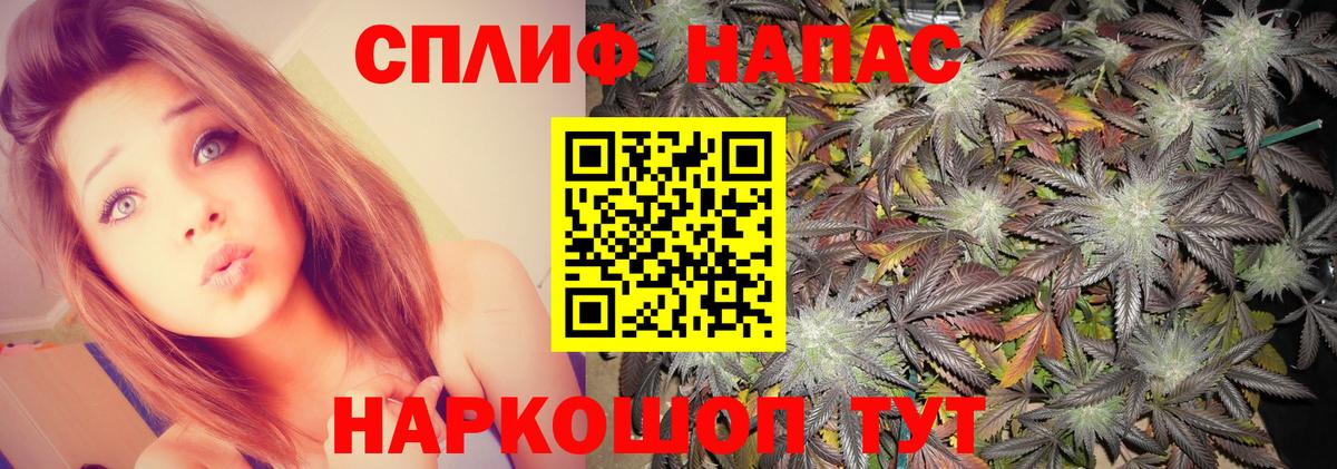 Канабис гибрид Сибай